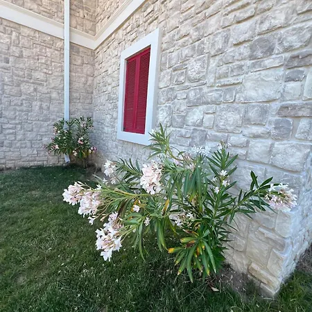 Appartamento Modern 2-br Ground Floor Near Sarimsakli Beach-3 Ayvalı